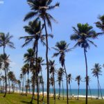 Praia da Armação em Salvador