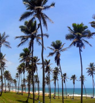 Praia da Armação em Salvador